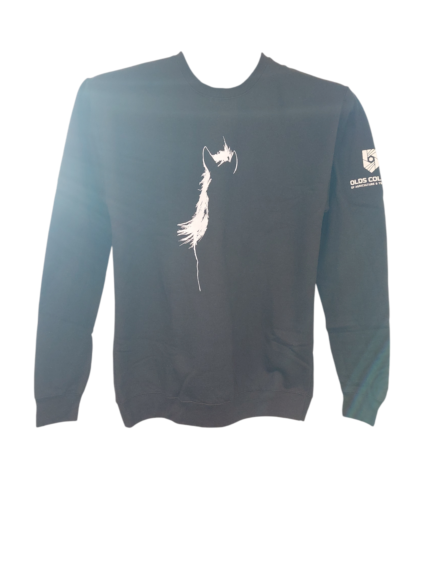 gEeks college Logo sweat フェード USA College Sweatshirt - Arctic White - Portland Clothing